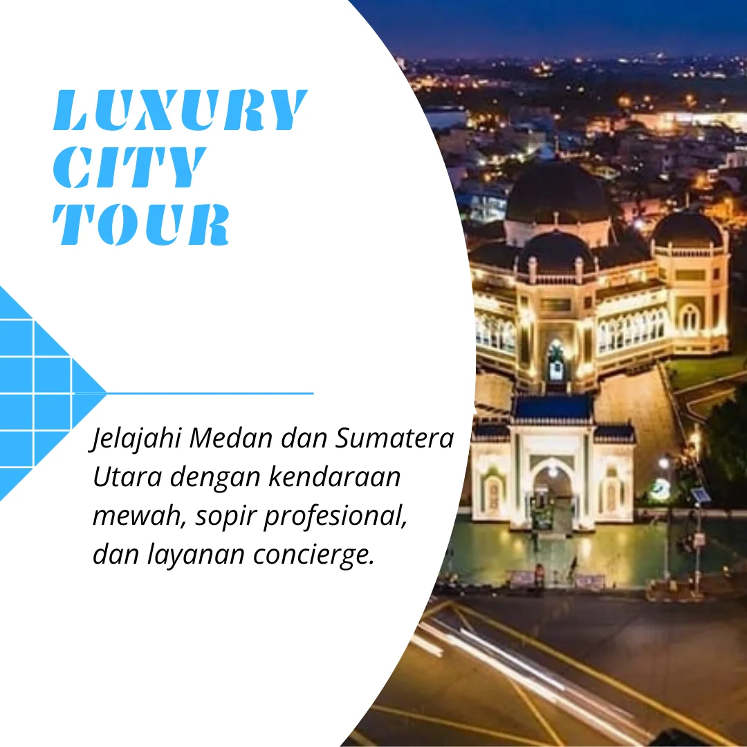 Luxury City Tour